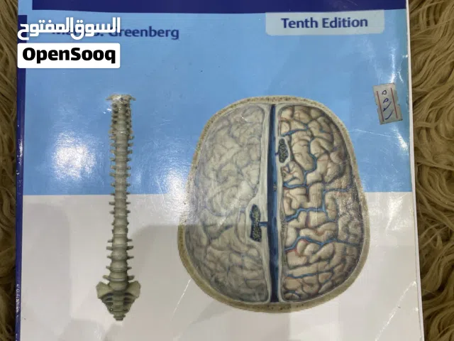 Greenberg’s Handbook of Neurosurgeryا– Tenth Edition