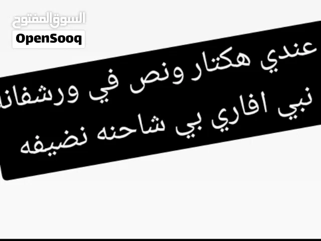 مطلوب افاري بي شاحنه الارض فاضيه وجيرانها بسم الله ماشاء الله