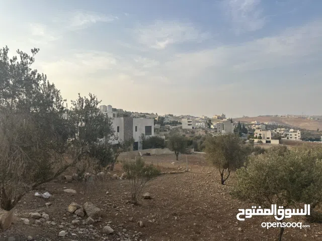 Residential Land for Sale in Amman Shafa Badran