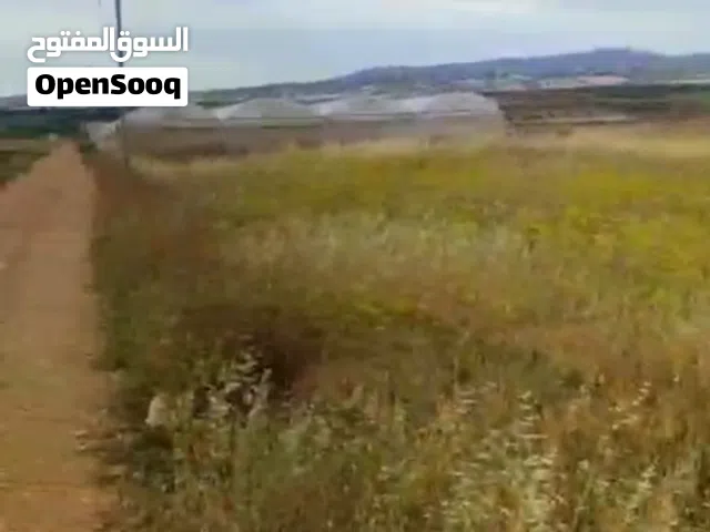 ارض منطقتها جميله وهاديه