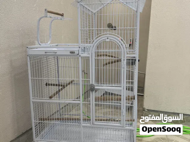 قفس طير للبيع