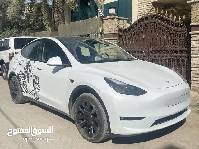tesla y 2023