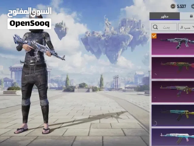 Pubg Accounts and Characters for Sale in Amman