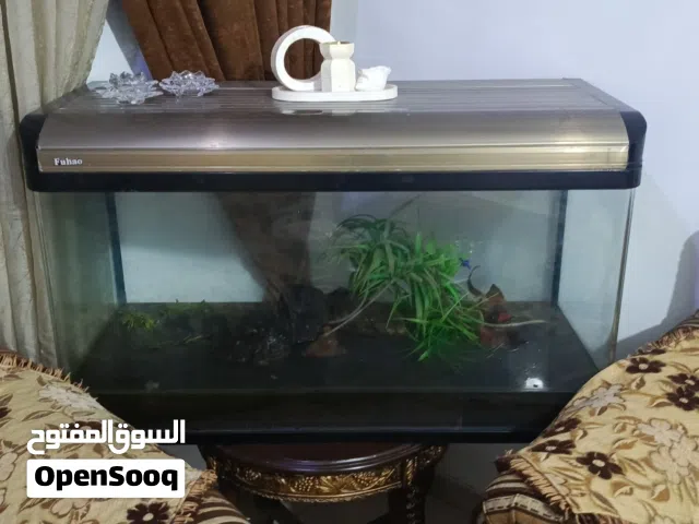 حوض سمك للبيع