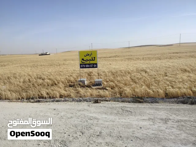 ارض للبيع الذهيبة الشرقيه