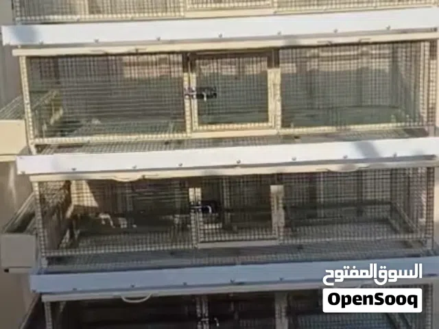 مطلوب بطاريات فري