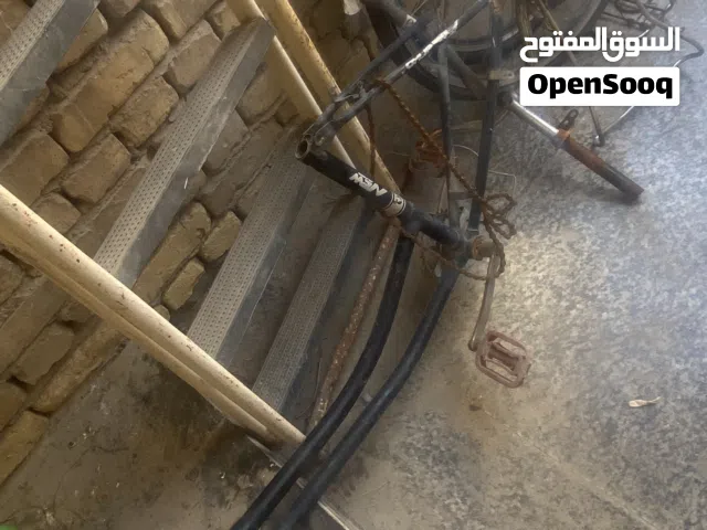 باسكل بناتي حجم 24