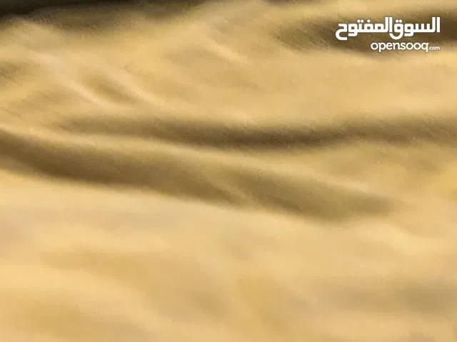 محل للاجار