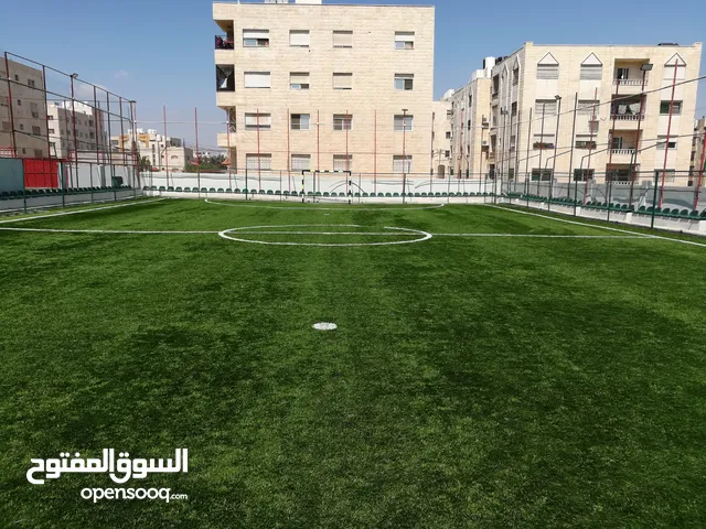 ملاعب كرة قدم