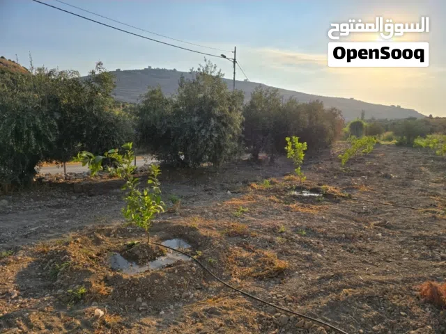 قطعه ارض من المالك مباشرة