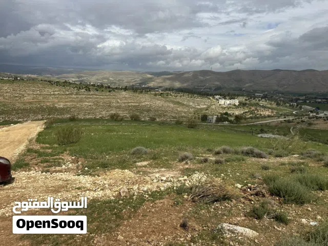 ارض 4 دنم للبيع في بيرين من المالك مباشرة بسعر مميزة جداً قرب شارع رائيسي