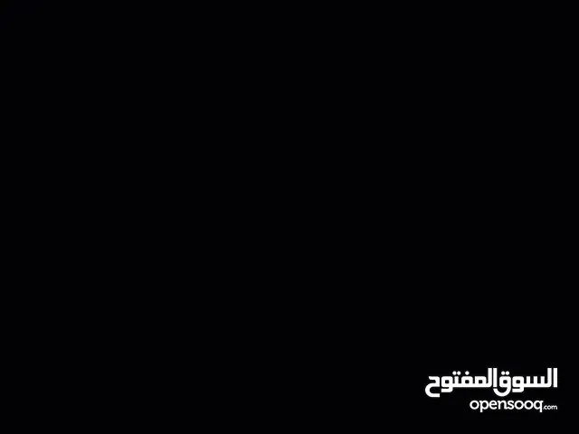 مطلوب كلب جيرمن شيبرد للتبني عمره اقل من ست شهور