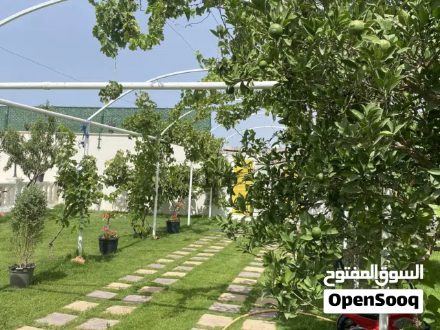 2 Bedrooms Chalet for Rent in Tripoli Al-Baesh