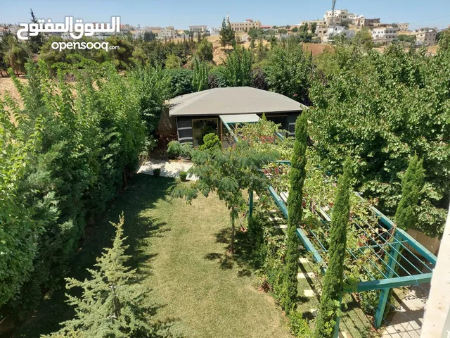 500 m2 4 Bedrooms Villa for Rent in Amman Airport Road - Manaseer Gs