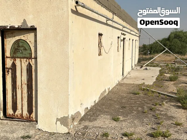 Farm Land for Rent in Abu Dhabi Other