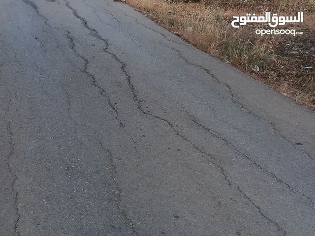 من اجمل مناطق كفر اسد منطقه هادئه ومنظمه مزروعه أشجار زيتون ارض مثل الكف ما شاء الله تبارك الرحمن