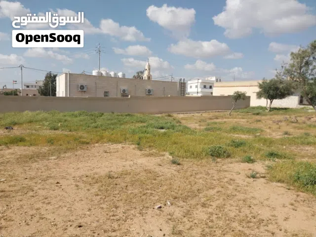 Farm Land for Rent in Mafraq Sama As-Sirhan