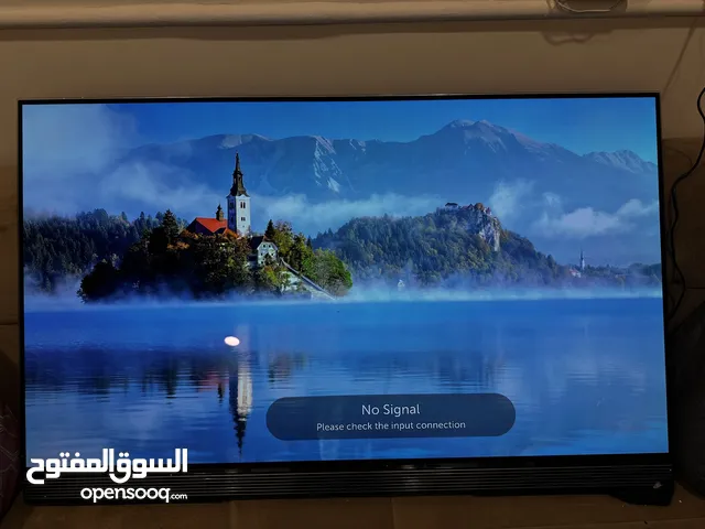 LG OLED E7 55