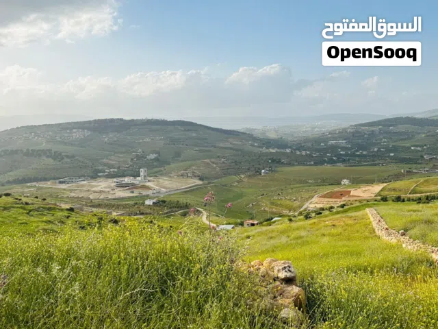 Mixed Use Land for Sale in Jerash Unaybah