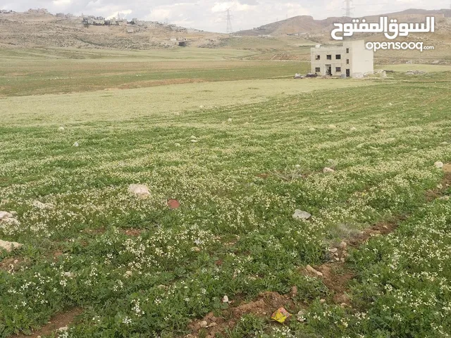 Residential Land for Sale in Zarqa Al Autostrad