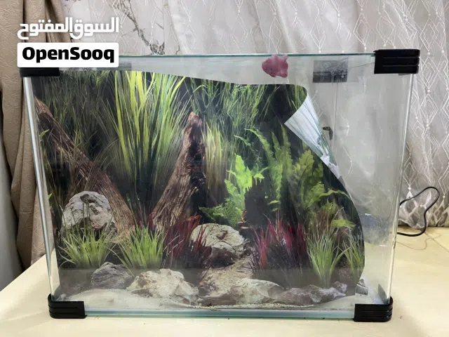 حوض سمج للبيع
