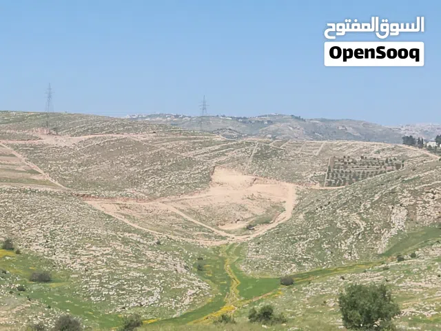 Farm Land for Sale in Amman Bilal