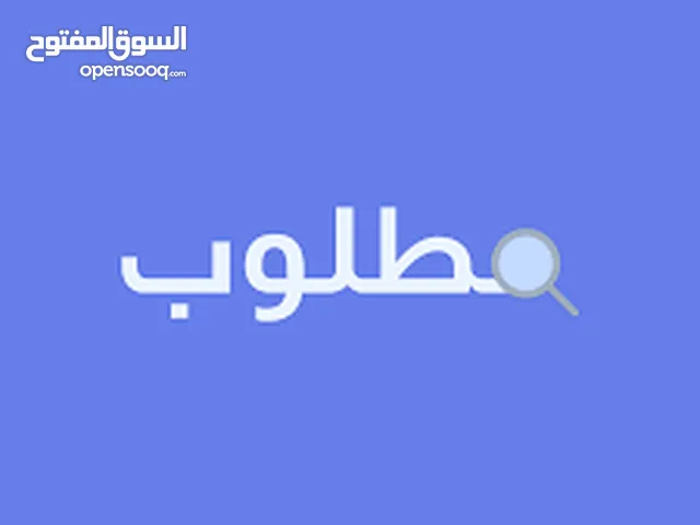 مطلوب غرفة عزاب