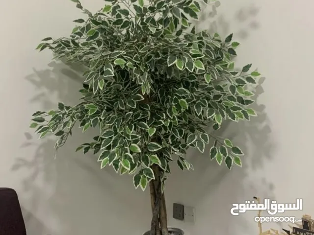 اشجار صناعيه بأنواع مختلفه للبيع