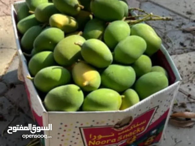 حدال للبيع