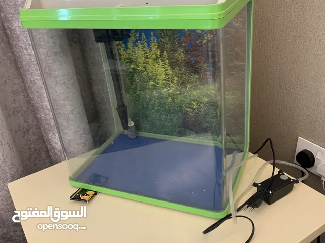 To Sell Fish aquarium used Ike new