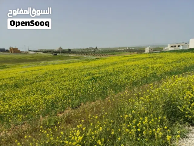 Farm Land for Sale in Amman Sufa