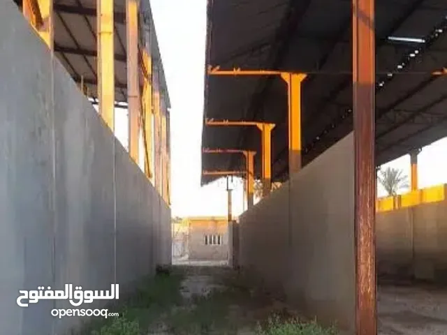 Semi Furnished Warehouses in Damietta Kafr al-Bateekh