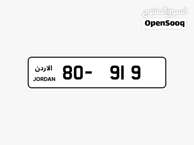 80 - 919 .