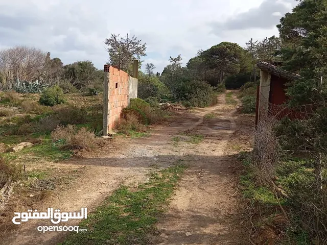 Mixed Use Land for Sale in Tunis Other