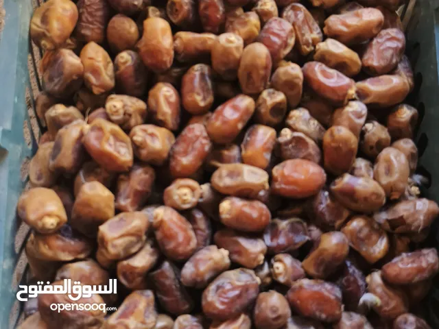 تمر برحي وانواع