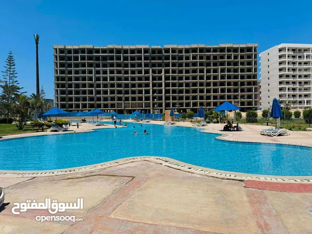 جولف بورتو مارينا امام العلمين الجديده