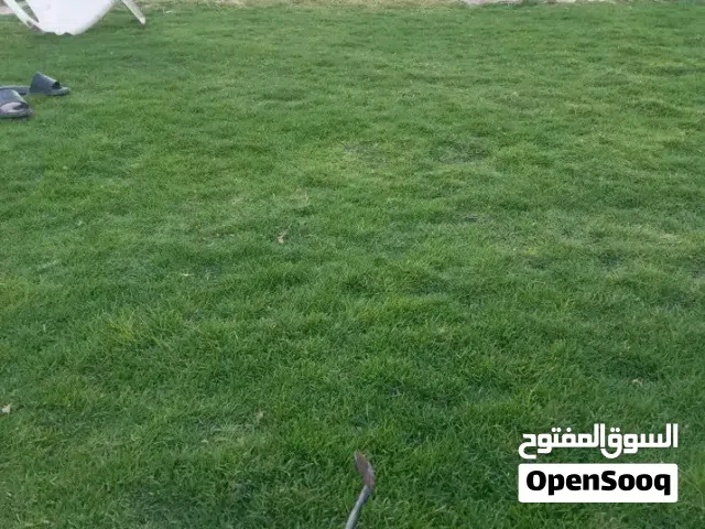 اعمال بساطين