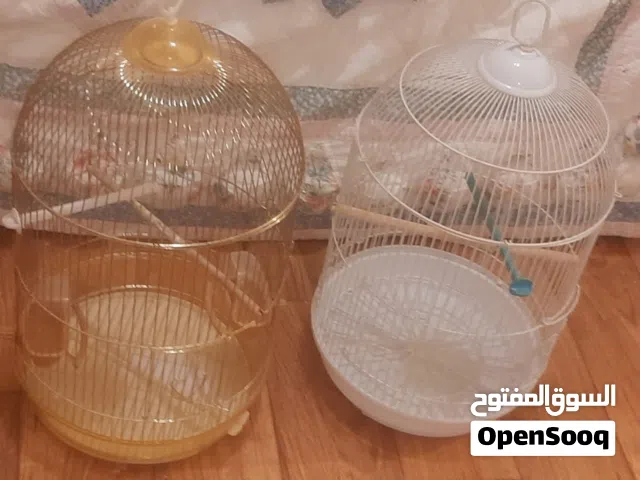 قفصين للبيع شبه جداد المكان سلوى