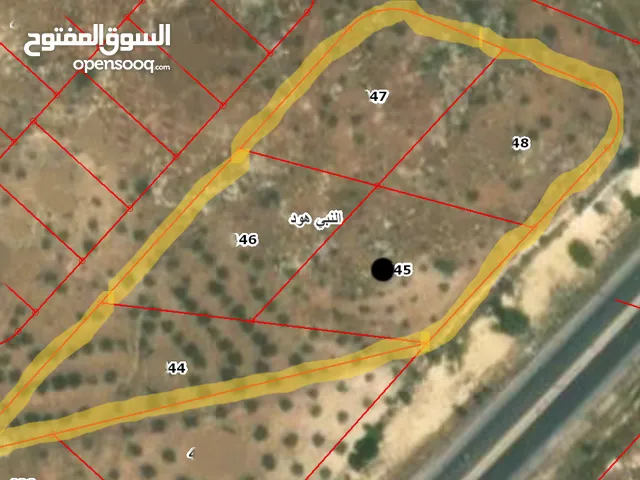 قطعة ارض تجارية على طريق عمان اربد الدولي للبيع  ( Property 45774 )-163947