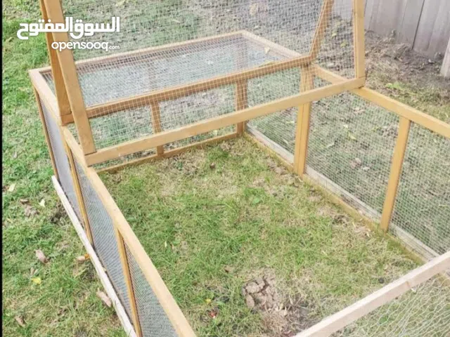 مسرح طيور ولحمامة ودجاج...