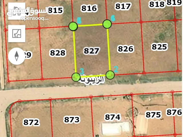 عرض رقم  461   ارض  سكني  للبيع  في قرية الزيتونه حوض الدفيانه من اراضي جنوب عمان  بالقرب من المطار