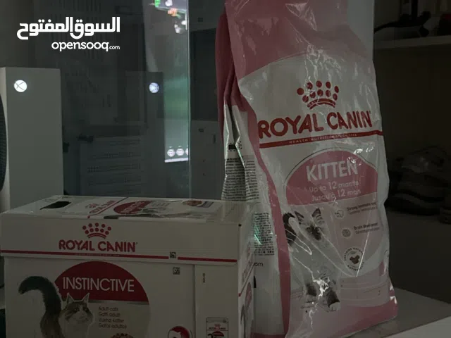 اكل كتن royal canin