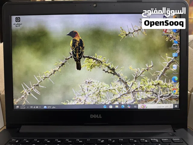 Windows Dell for sale  in Tulkarm