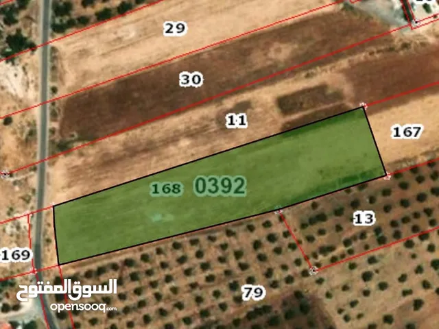 Farm Land for Sale in Salt Al Maghareeb