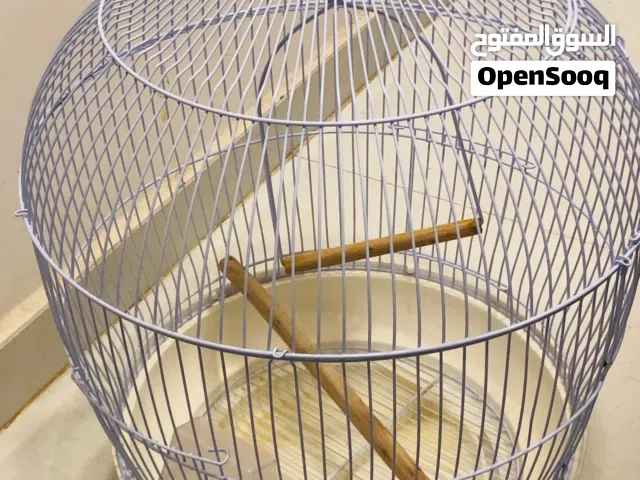 Birds cage