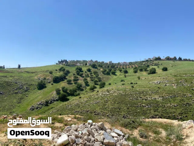 Residential Land for Sale in Amman Bahath