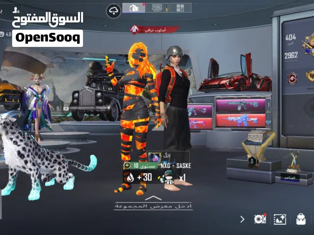 حساب ببجي للبيع شوف الوصف