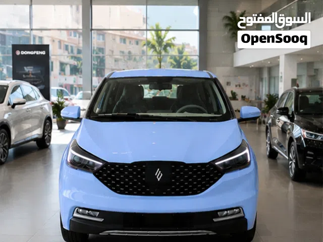 2026 جاي ام اي في EV3