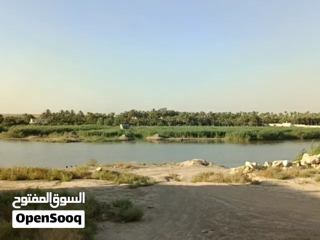 فرصة استثمارية في الدورة ـ البوعيثة قرب السدة بسعر مناسب جداً
