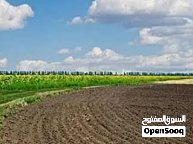 Mixed Use Land for Sale in Al Ain Other